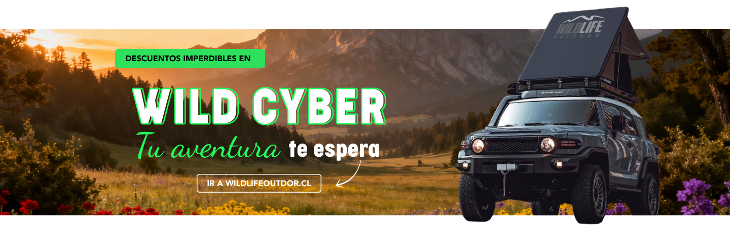 - Cyber Octubre