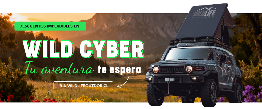 - Cyber Octubre